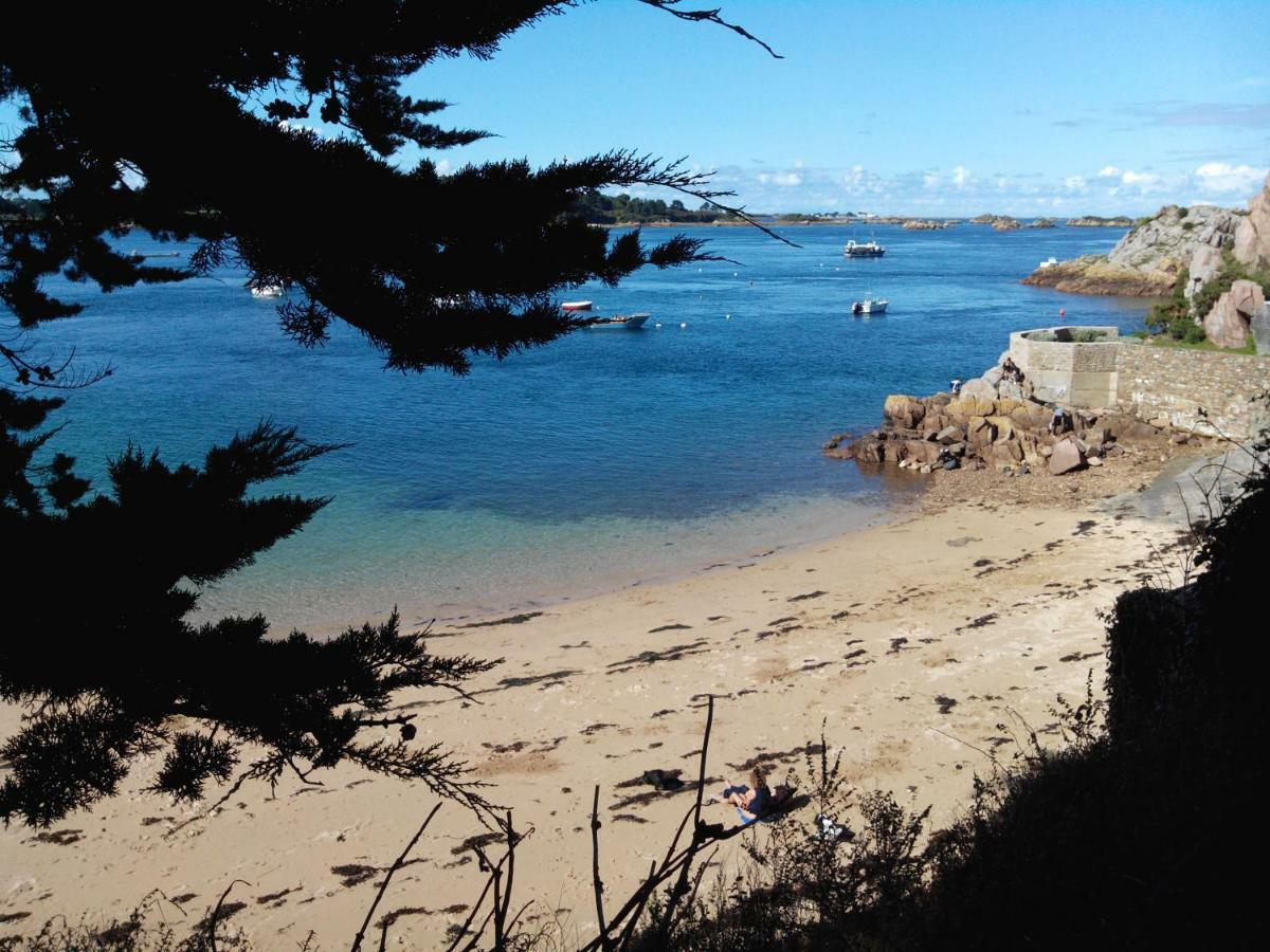 Gite De La Marina Dans La Presqu'Ile De Lezardrieux Bagian luar foto