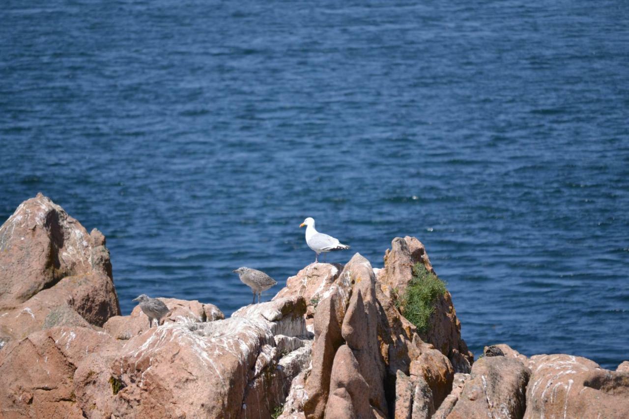 Gite De La Marina Dans La Presqu'Ile De Lezardrieux Bagian luar foto